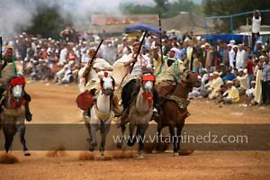 Waada de Sidi Laadjal, Oued El Khir, Mostaganem 31.05.2012