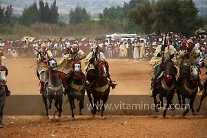 Waada de Sidi Laadjal, Oued El Khir, Mostaganem 31.05.2012