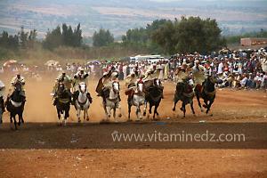 Waada de Sidi Laadjal, Oued El Khir, Mostaganem 31.05.2012