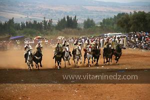 Waada de Sidi Laadjal, Oued El Khir, Mostaganem 31.05.2012