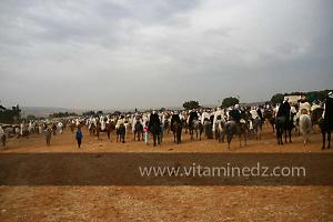 Waada de Sidi Laadjal, Oued El Khir, Mostaganem 31.05.2012