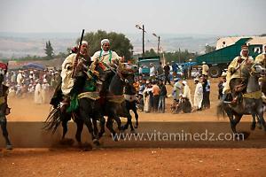 Waada de Sidi Laadjal, Oued El Khir, Mostaganem 31.05.2012