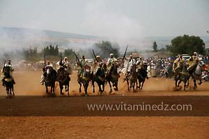 Waada de Sidi Laadjal, Oued El Khir, Mostaganem 31.05.2012