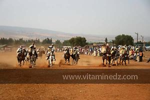 Waada de Sidi Laadjal, Oued El Khir, Mostaganem 31.05.2012