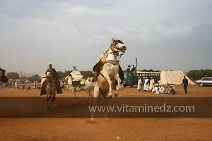 Waada de Sidi Laadjal, Oued El Khir, Mostaganem 31.05.2012