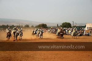 Waada de Sidi Laadjal, Oued El Khir, Mostaganem 31.05.2012
