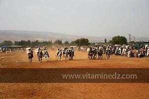 Waada de Sidi Laadjal, Oued El Khir, Mostaganem 31.05.2012