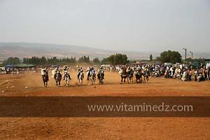 Waada de Sidi Laadjal, Oued El Khir, Mostaganem 31.05.2012