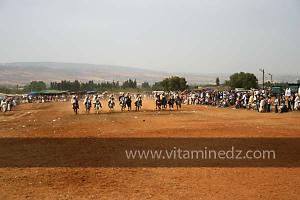 Waada de Sidi Laadjal, Oued El Khir, Mostaganem 31.05.2012