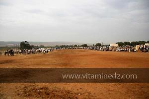 Waada de Sidi Laadjal, Oued El Khir, Mostaganem 31.05.2012