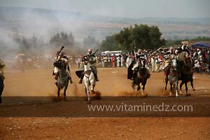 Waada de Sidi Laadjal, Oued El Khir, Mostaganem 31.05.2012