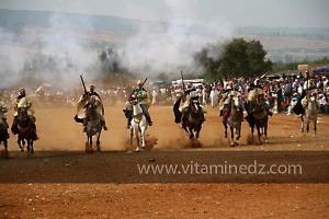 Waada de Sidi Laadjal, Oued El Khir, Mostaganem 31.05.2012