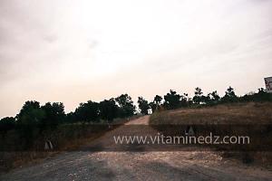 Route vers Oued El Khir, Mostaganem