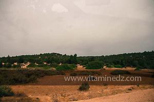 Foret Ouled Dani, Oued El Khir Mostaganem