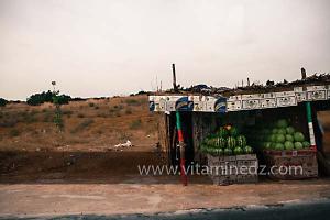 Marchands de pastèques à Sidi Khettab