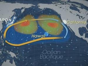 Planète - Un gigantesque continent de déchets dans le Pacifique Nord