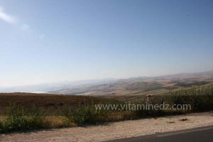 La commune de Oued Rhiou, route nationale 90, vers Ammi Moussa, Traversant Djbel Gargar