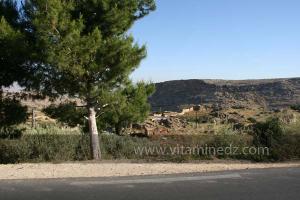 La commune de Oued Rhiou, route nationale 90, vers Ammi Moussa, Traversant Djbel Gargar