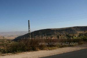 La commune de Oued Rhiou, route nationale 90, vers Ammi Moussa, Traversant Djbel Gargar