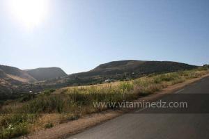 La commune de Oued Rhiou, route nationale 90, vers Ammi Moussa, Traversant Djbel Gargar