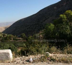 La commune de Oued Rhiou, route nationale 90, vers Ammi Moussa, Traversant Djbel Gargar