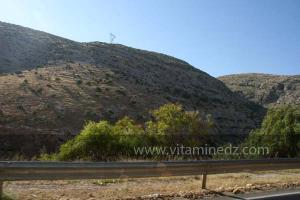 La commune de Oued Rhiou, route nationale 90, vers Ammi Moussa, Traversant Djbel Gargar