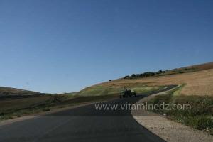 Commune de Lahlaf (El Alef), située au bord du Oued Rhiou, Relizane.