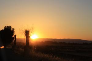 couchet de solei a relizane