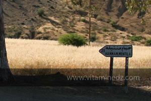 Vers les sources d\'eau chaude de Hammam MENTILA, La commune de Ammi Moussa