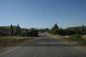 La commune de Ammi Moussa, à vocation agricole bordant le Oued Riou