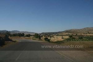 La commune de Ammi Moussa, à vocation agricole bordant le Oued Riou