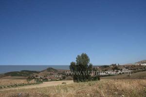 La commune de Ammi Moussa, à vocation agricole bordant le Oued Riou