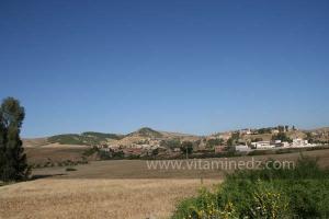 La commune de Ammi Moussa, à vocation agricole bordant le Oued Riou