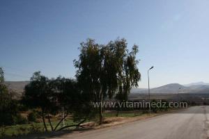 La commune de Ammi Moussa, à vocation agricole bordant le Oued Riou