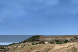 La commune de Ammi Moussa, à vocation agricole bordant le Oued Riou