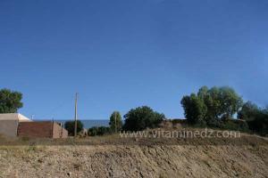 La commune de Ammi Moussa, à vocation agricole bordant le Oued Riou