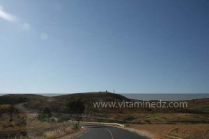 La commune de Ammi Moussa, à vocation agricole bordant le Oued Riou