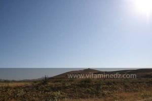 La commune de Ammi Moussa, à vocation agricole bordant le Oued Riou