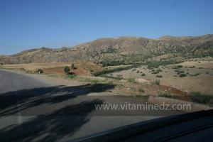 La commune de Ain Tarik, ex Guillaumet, wilaya de Relizane