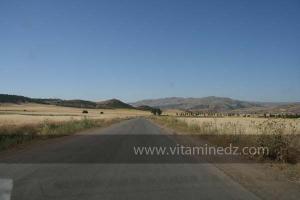 La commune de Ain Tarik, ex Guillaumet, wilaya de Relizane