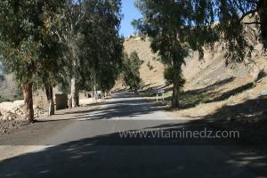 Commune de Had Echkala, wilaya de Relizene