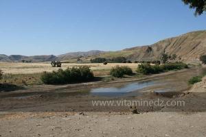 Oued Rhiou, Commune de Had Echkala, wilaya de Relizene