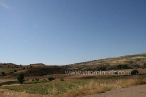 Commune de Had Echkala, wilaya de Relizene