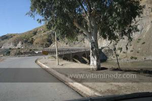 Pont traversant l\'oued Rhiou, Commune de Had Echkala, wilaya de Relizene