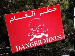 Destruction de 95% des mines des frontières Est et Ouest de l'Algérie