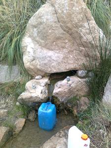 source ain el karma.m'ziraa.w. de biskra.