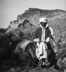 Guelaa de Kebach.M'ziraa.wil. de Biskra