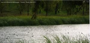 Lac de la ferme de Mr bourgas (بحيرة بورغاس) à Taoura- wilaya de Souk Ahras