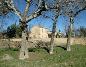 Triste  sort pour  ces  arbres .le béton  armé  arrive