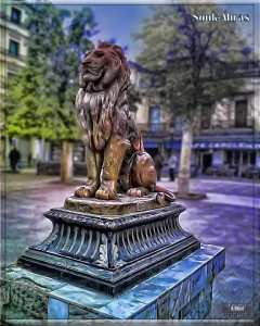 Souk-Ahras (Thagaste)سوق أهراس